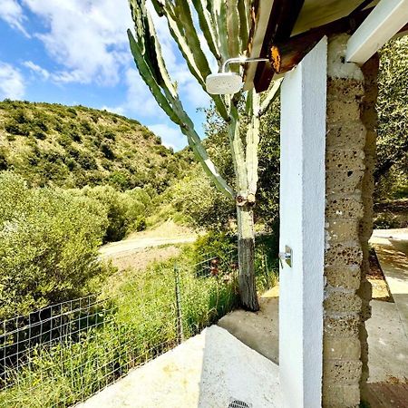 Villa Lo Scoglio Ашеа Екстер'єр фото