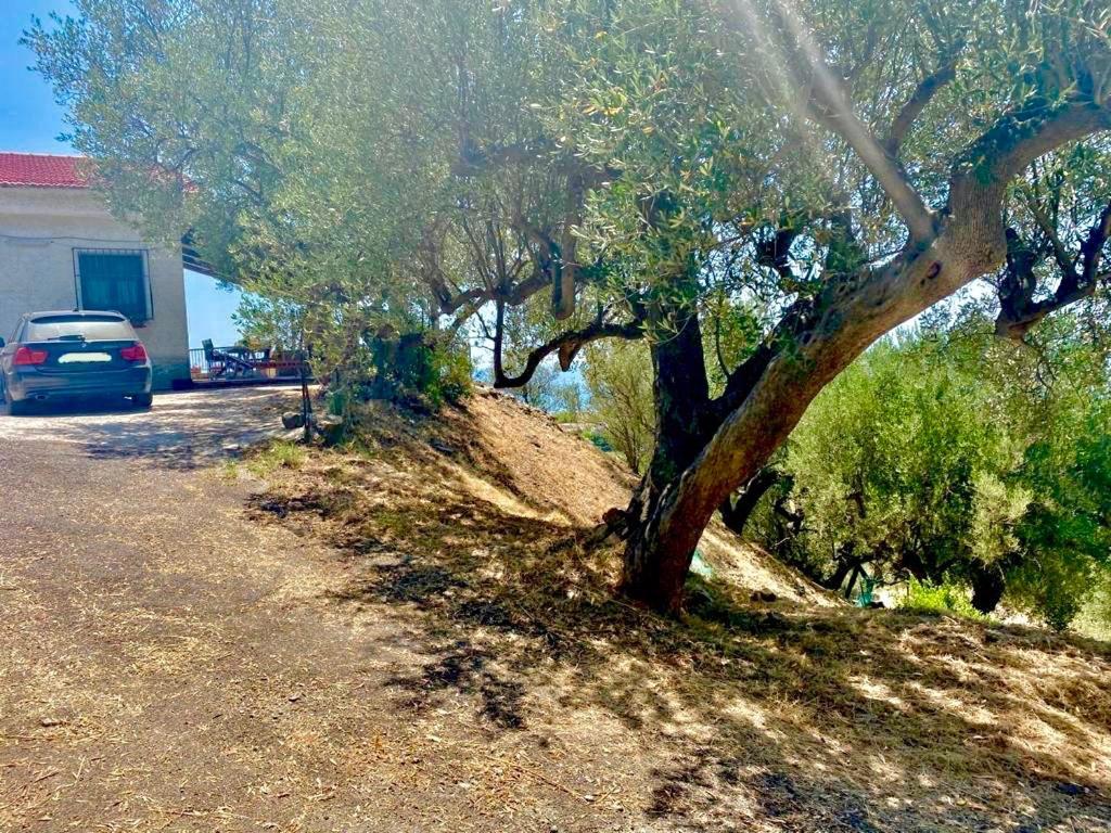 Villa Lo Scoglio Ашеа Екстер'єр фото